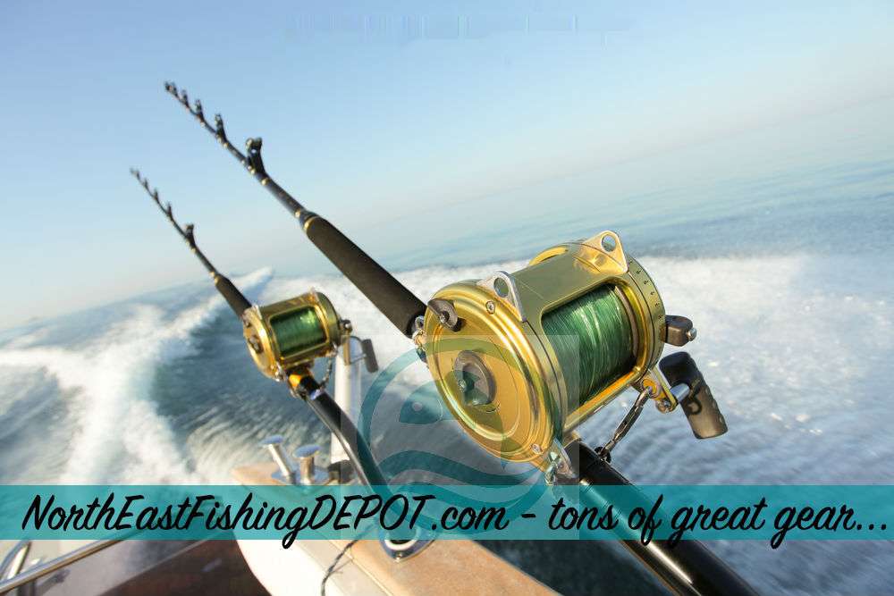 NorthEastFishingDepot | 7 Dale St, Peabody, MA 01960, USA | Phone: (978) 595-1024