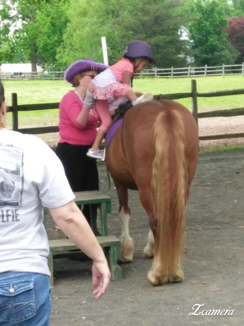 Lord Stirling Stable | 256 S Maple Ave, Basking Ridge, NJ 07920, USA | Phone: (908) 766-5955 Lord Stirling Stable | 256 S Maple Ave, Basking Ridge, NJ 07920, USA | Phone: (908) 766-5955