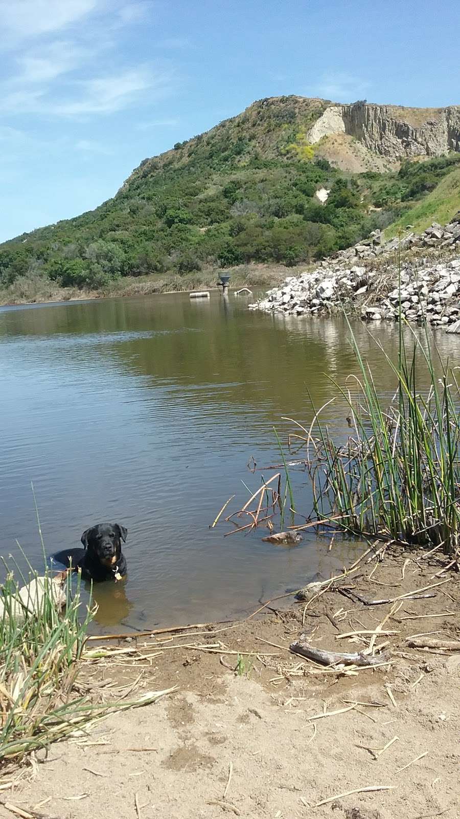 Lake Calavera Trail Head #2 | Tamarack Ave, Carlsbad, CA 92010, USA | Phone: (760) 936-3098