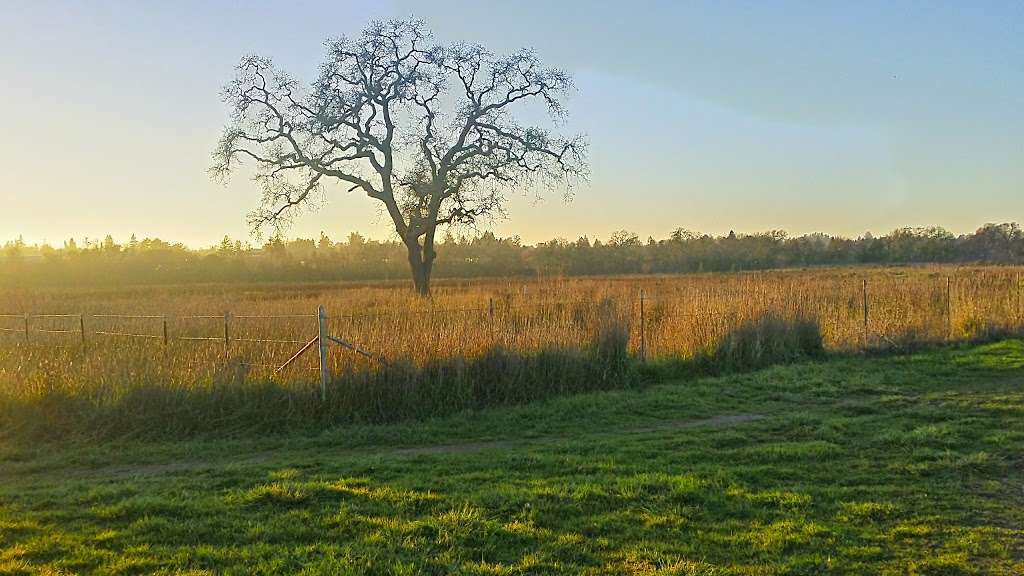 Laguna Wetlands Preserve | Sebastopol, CA 95472, USA | Phone: (707) 823-6167