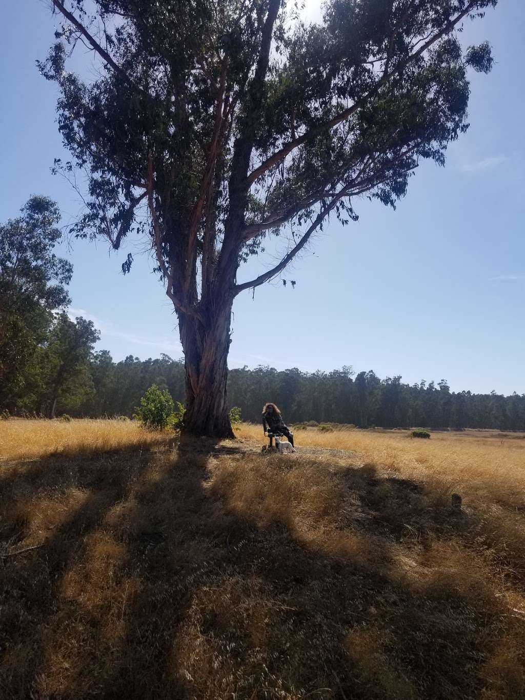 Point Pinole Regional Park - Dotson Family Marsh | Richmond, CA 94801, USA | Phone: (888) 327-2757