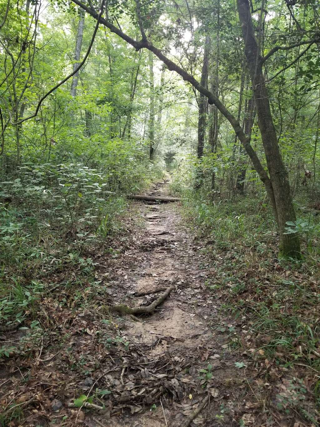 Lone Star Hiking Trail - Trailhead # 14 | FM 2025, Cleveland, TX 77328, USA