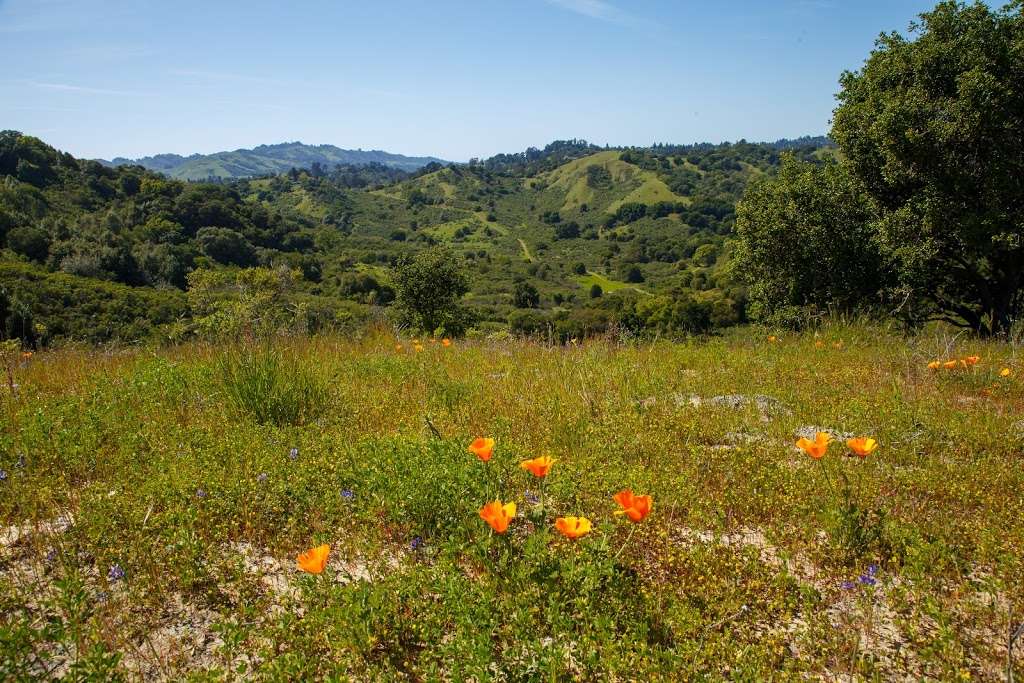 Lafayette Reservoir | Lafayette, CA 94549, USA