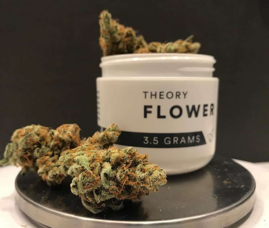 Theory Wellness: Medical Marijuana Dispensary MA | 1050 Elm St, Bridgewater, MA 02324, USA | Phone: (508) 296-9250