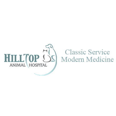 Hilltop Animal Hospital | 3425 N Main St, Fuquay-Varina, NC 27526 | Phone: (919) 567-9700