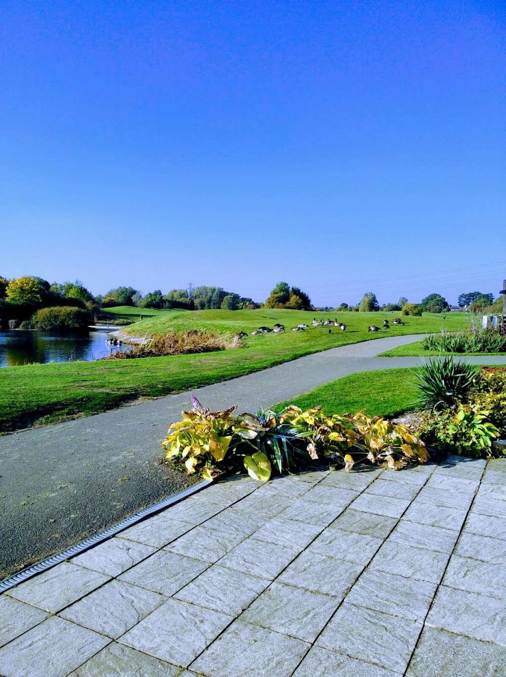 Matt Spencer Golf | Mill Green Golf Club, Gypsy Ln, Welwyn Garden City, Hatfield, Welwyn Garden City AL7 4TY, UK | Phone: 07765 507766