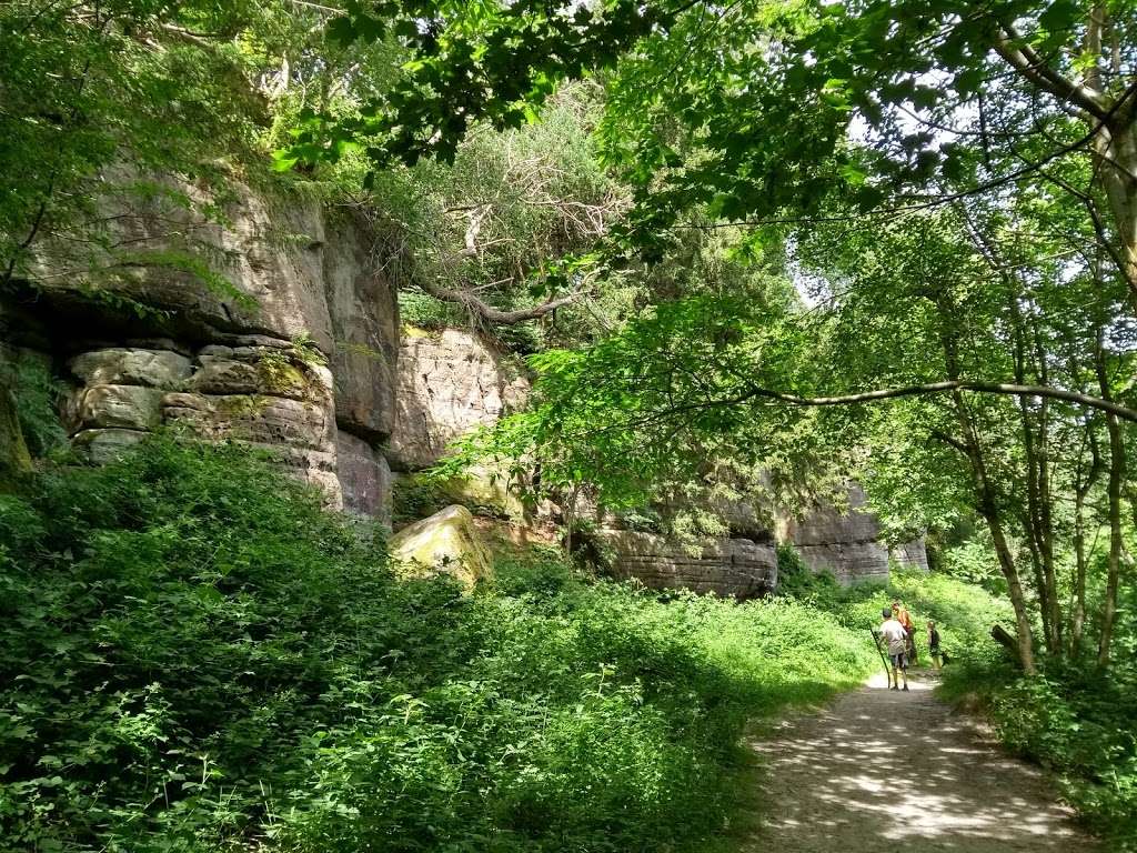 Eridge Rocks Nature Reserve | 1 Warren Farm Ln, Eridge, Tunbridge Wells TN3 9JG, UK