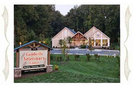 Gambrills Veterinary Center | 1078 MD-3, Gambrills, MD 21054 | Phone: (410) 721-0001