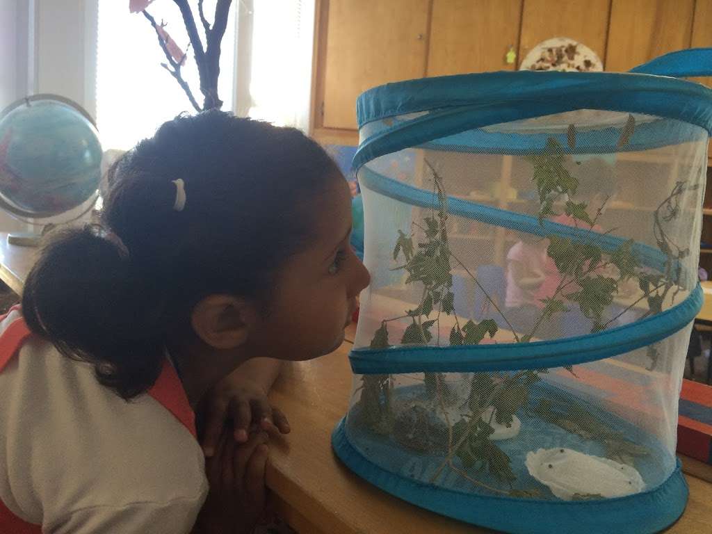 Mandala Childrens House | 5038 Hyland Ave, San Jose, CA 95127, USA | Phone: (408) 251-8633