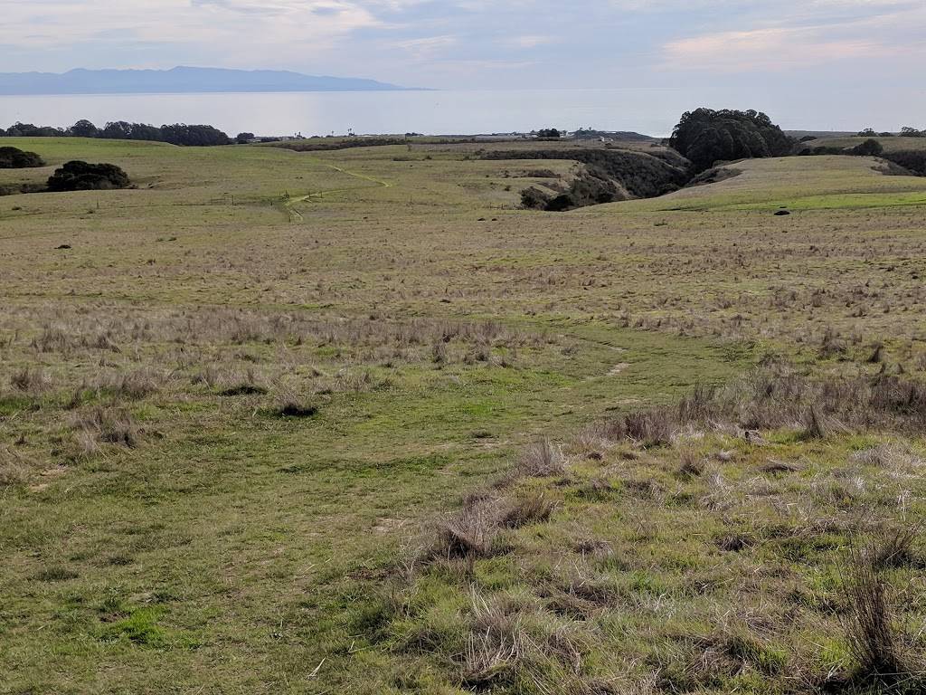 Moore Creek Preserve | Moore Creek Trail, Santa Cruz, CA 95060, USA | Phone: (831) 420-5270