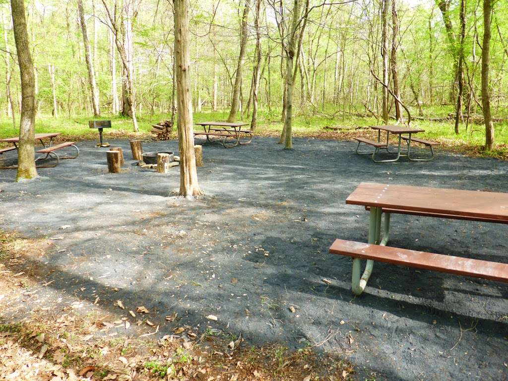 Marsden Tract Group Campground | Potomac, MD 20854, USA