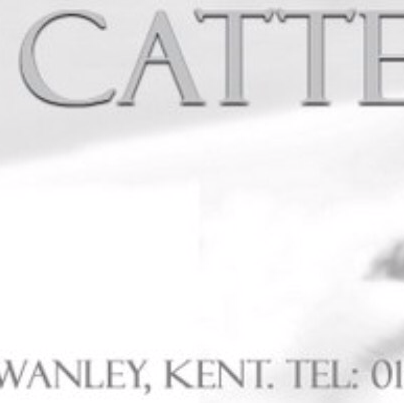 The Ark Cattery | 1 High View/Highlands Hill, Swanley BR8 7NB, UK | Phone: 01322 668584