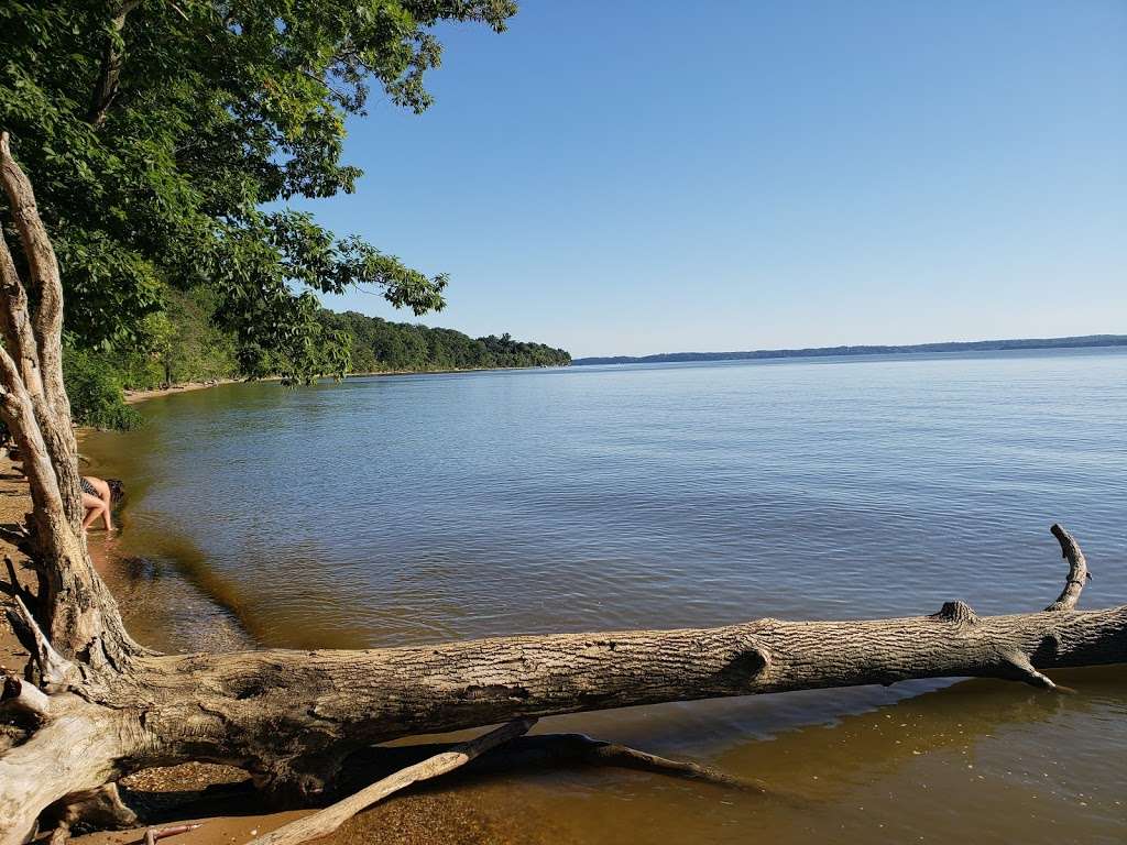 Purse State Park | 2750 Sweden Point Rd, Marbury, MD 20658, USA | Phone: (301) 743-7613