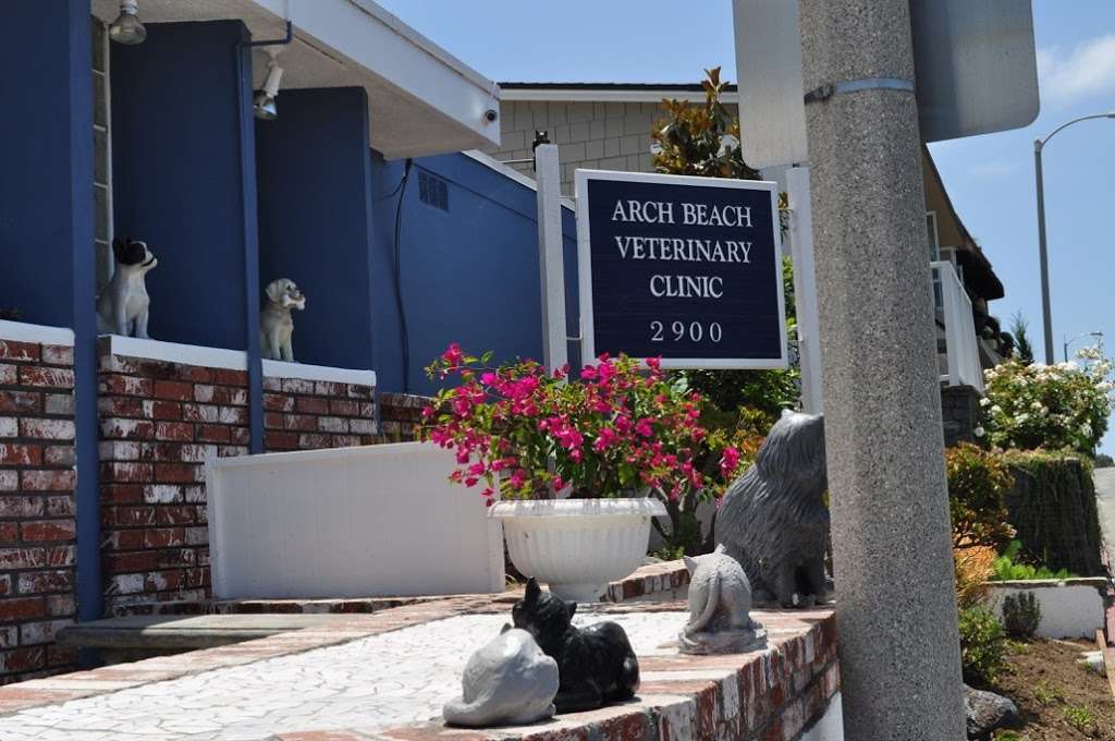 Arch Beach Veterinary Clinic | 2900 S Coast Hwy, Laguna Beach, CA 92651, USA | Phone: (949) 494-6583