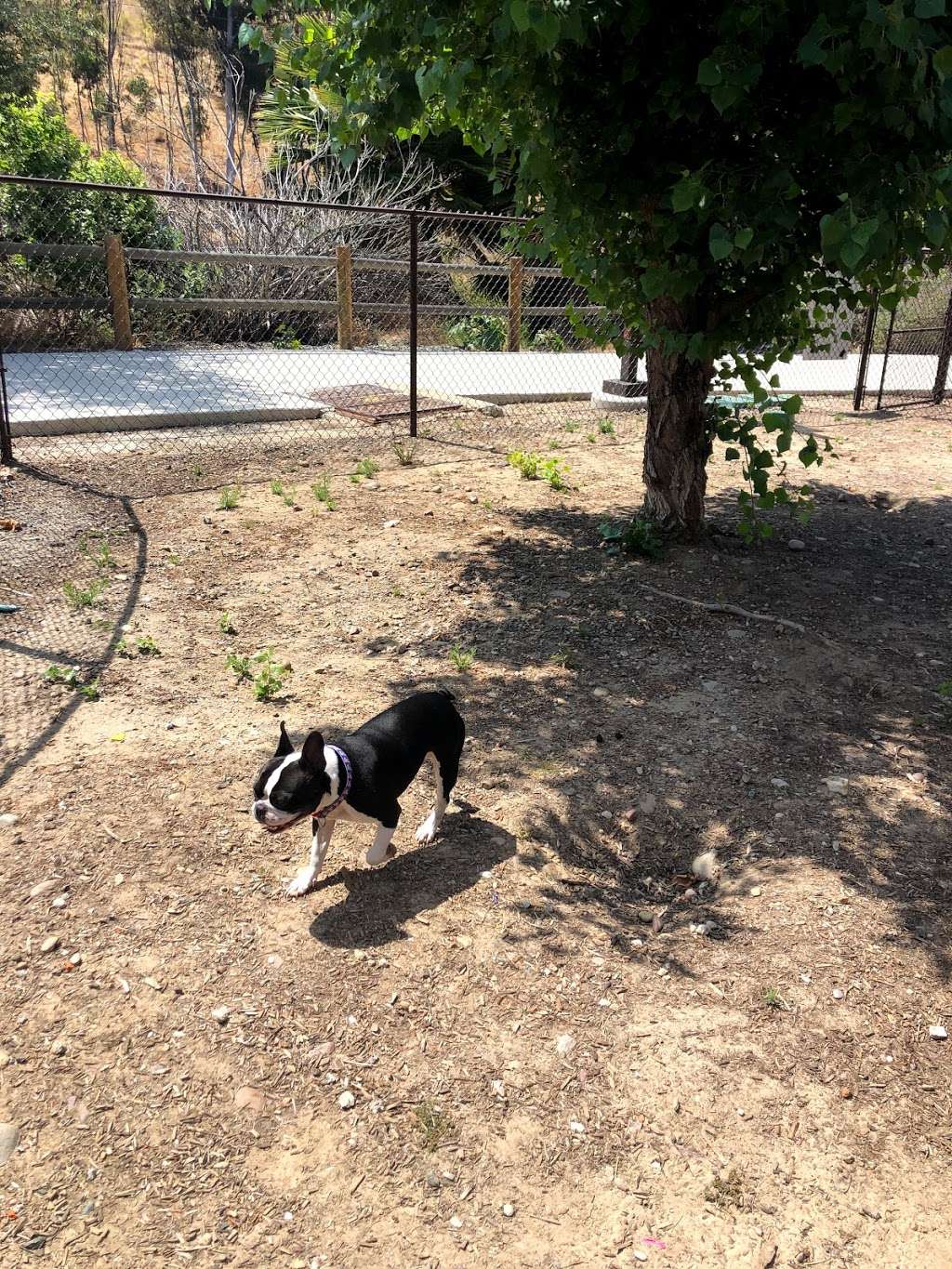 Dog Park | Lemon Grove, CA 91945, USA