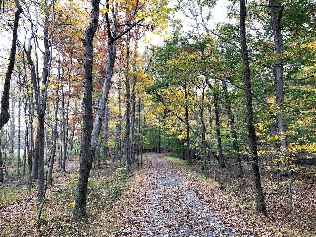 Cash Lake Trail | Cash Lake Trail, Laurel, MD 20708