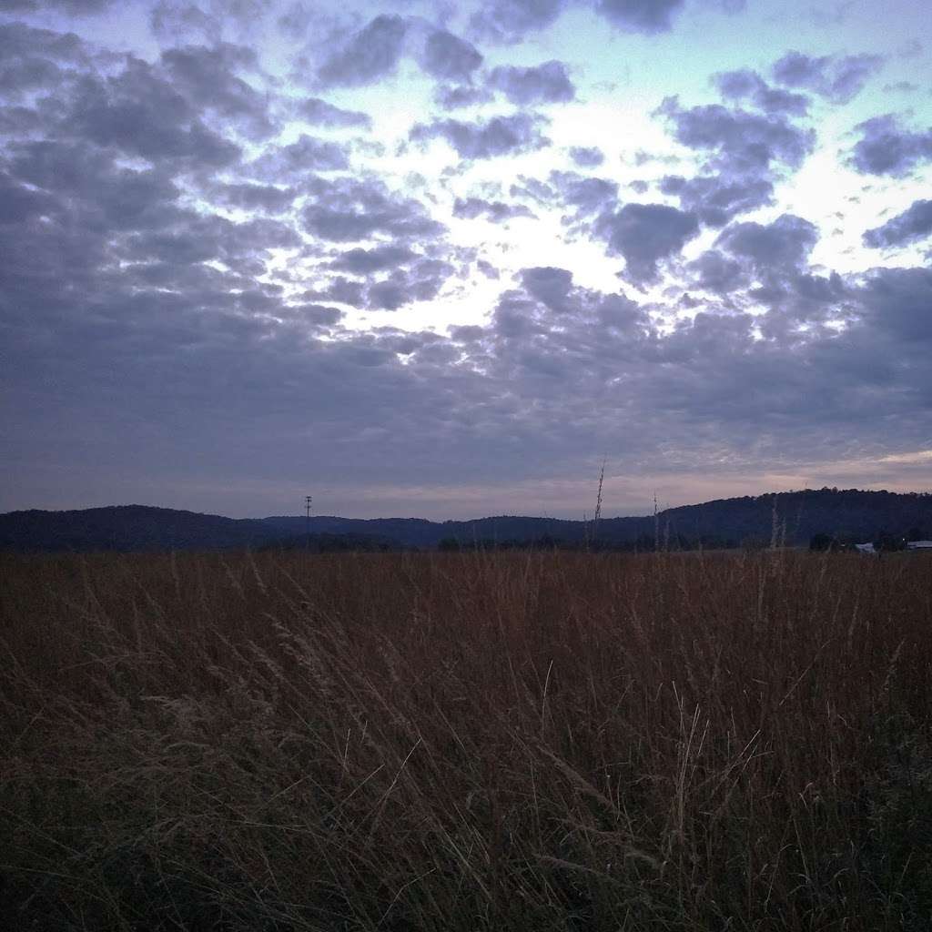 Alpha Grasslands Preserve | Oberly Rd, Phillipsburg, NJ 08865, USA