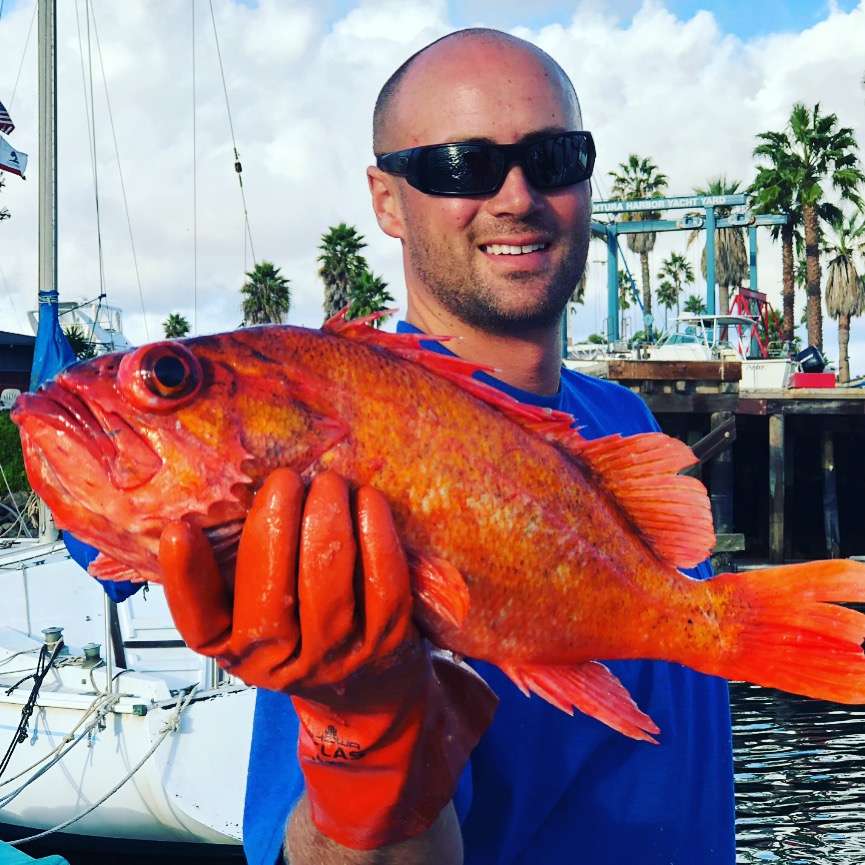 Ventura Harbor Fresh Fish Market | 1449 Spinnaker Dr Suite F, Ventura, CA 93001, USA | Phone: (206) 391-9054