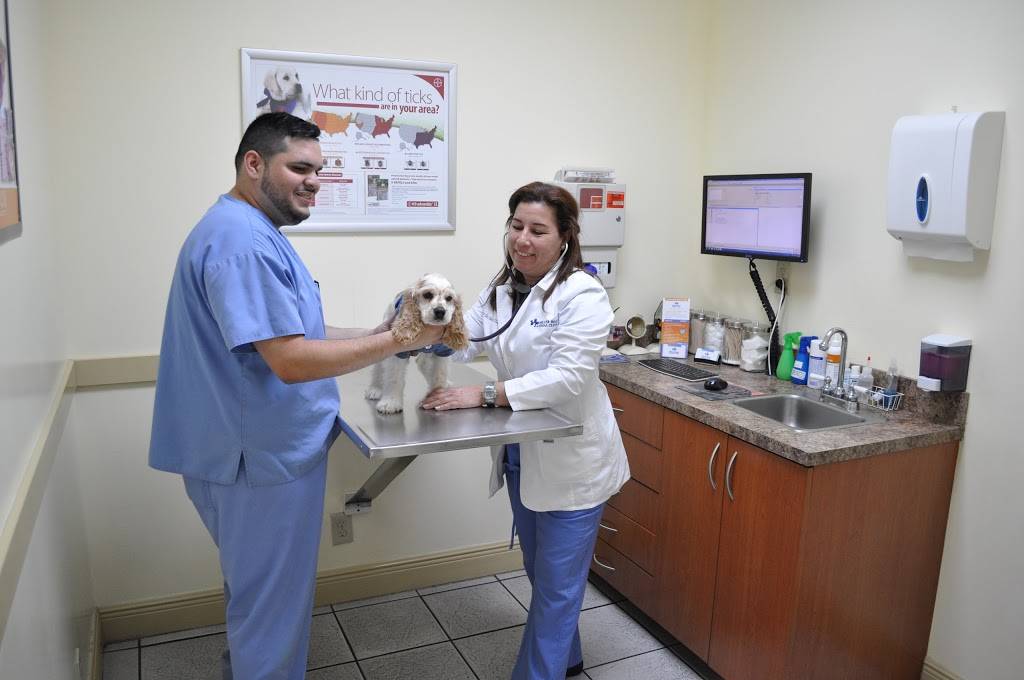 Miller Road Animal Clinic | 9328 SW 56th St, Miami, FL 33165, USA | Phone: (305) 279-1646