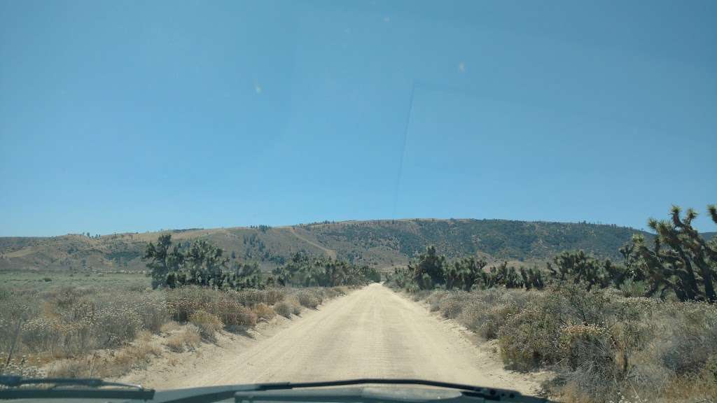 Desert Pines Wildlife Sanctuary | Lancaster, CA 93536, USA