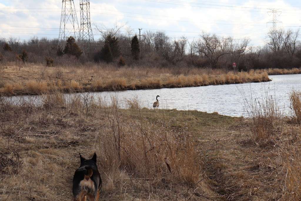 East Branch Off-leash Dog Park | 2N663 Swift Rd, Lombard, IL 60148, USA | Phone: (630) 933-7200