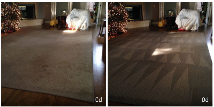 Saniclean Quikdri Carpet Cleaning | 3621 Corsica Ln, Clermont, FL 34711, USA | Phone: (352) 561-2177