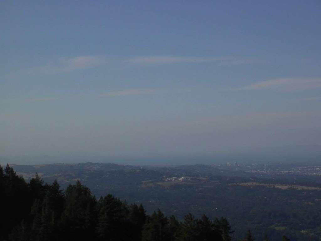 Windy Hill | Hamms Gulch Trail, Portola Valley, CA 94028, USA