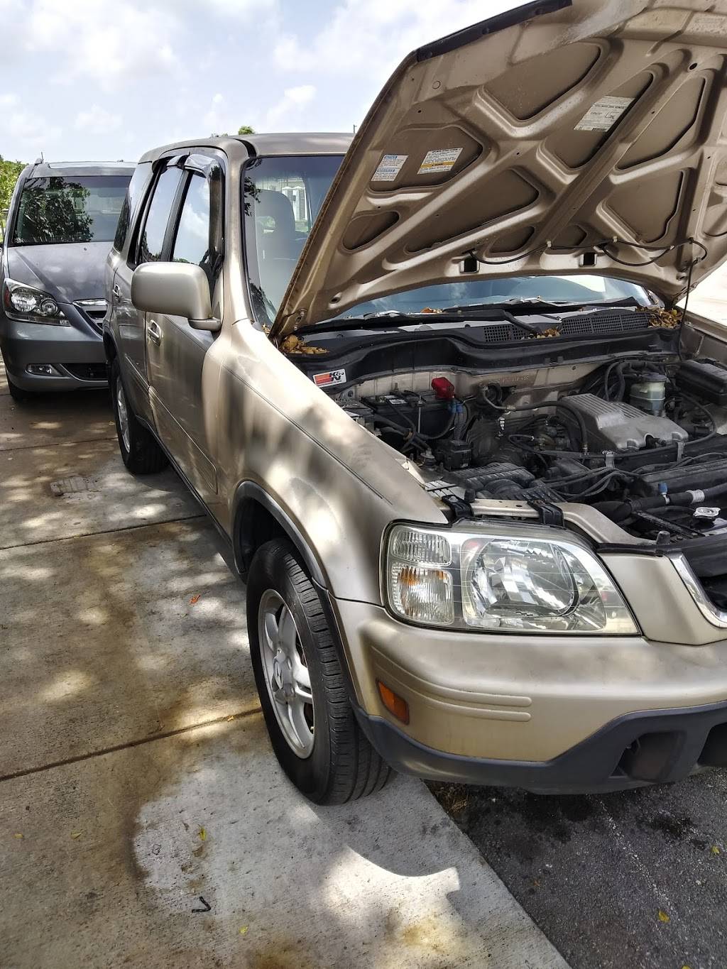 USA Special Tires | 7190 SW 8th St, Miami, FL 33144, USA | Phone: (305) 992-6153