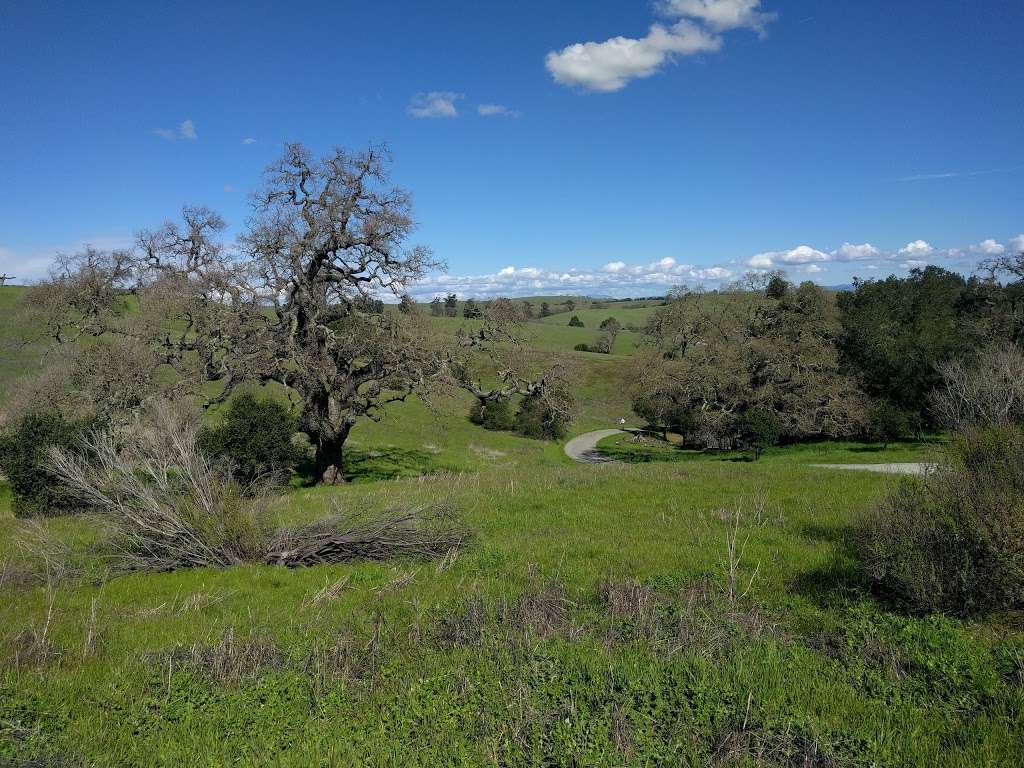 Pearson-Arastradero Preserve | 1530 Arastradero Rd, Palo Alto, CA 94304, USA | Phone: (650) 329-2423