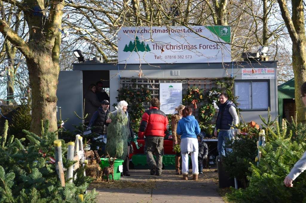 The Christmas Forest | Pools on the Park, Twickenham Road (A316), Old Deer Park, Richmond TW9 2SF, UK | Phone: 020 3953 8794