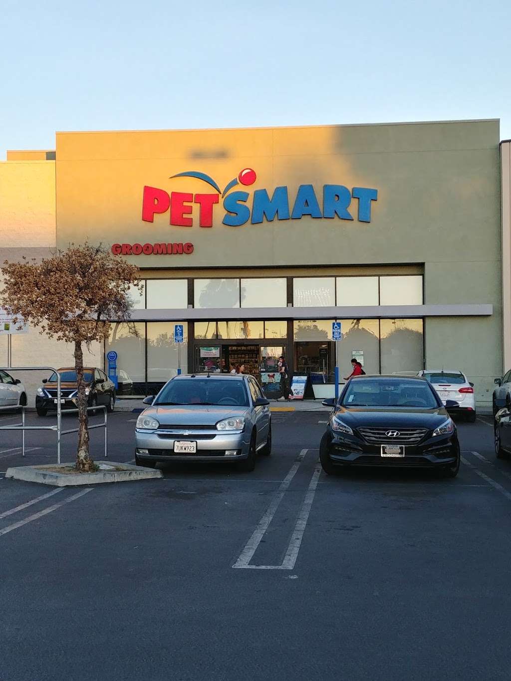 PetSmart | 7888 Van Nuys Blvd #1, Van Nuys, CA 91402, USA | Phone: (818) 742-1758