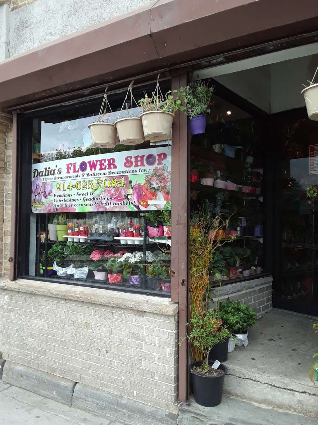 Dalias Flower Shop | 105 Ashburton Ave, Yonkers, NY 10701, USA | Phone: (914) 623-7084