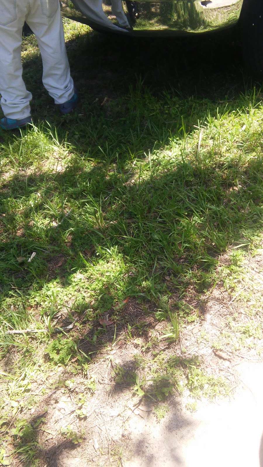 Star Trophies | 3801 Palm Dr, Leesburg, FL 34748, USA | Phone: (352) 787-8263