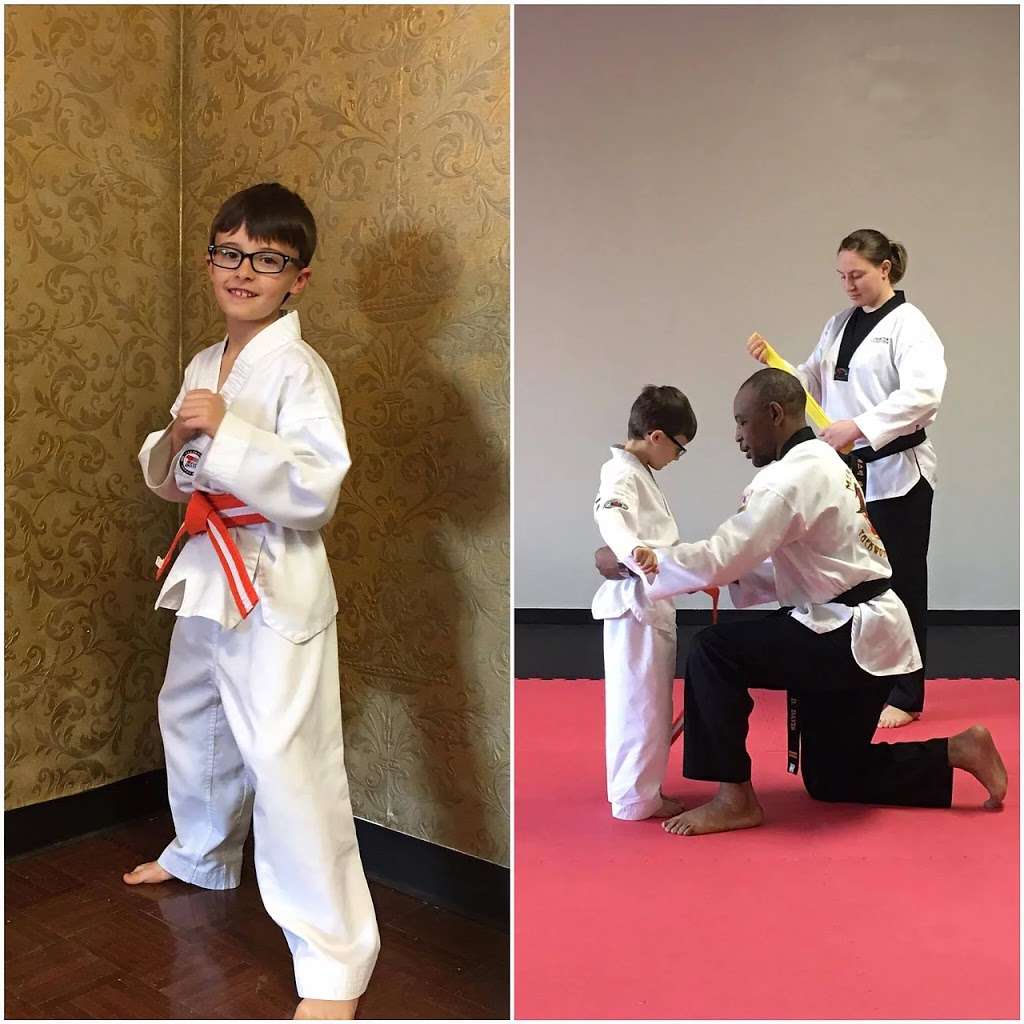 Majestic Taekwondo Academy | 2538 S Cleveland Ave, St Joseph, MI 49085, USA | Phone: (269) 605-7106