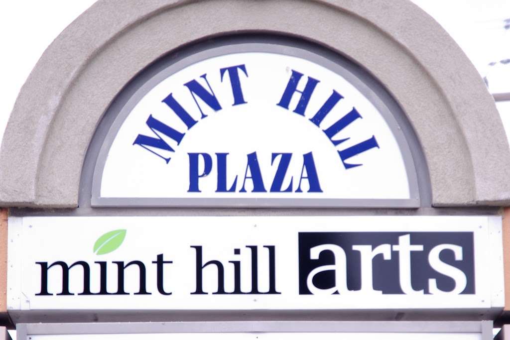 Mint Hill Arts | 11205 Lawyers Rd Suite A, Charlotte, NC 28227 | Phone: (980) 226-5532