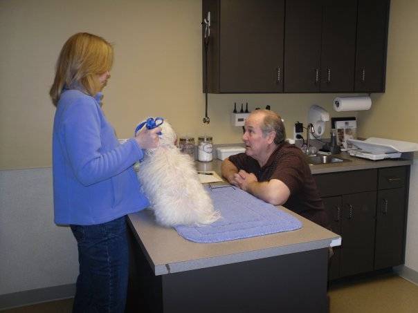 Crossroads Animal Hospital | 1151 Orchard Ave, Liberty, MO 64068, USA | Phone: (816) 781-1510