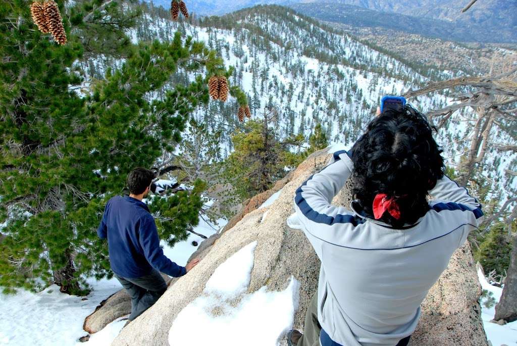 Mt Waterman Trailhead | Angeles National Forest,, Angeles Crest Hwy, Pearblossom, CA 93553 | Phone: (626) 574-1613