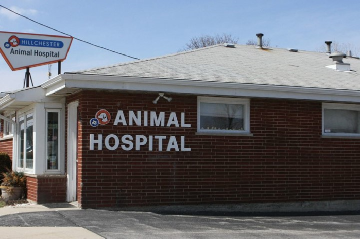 Hillchester Animal Hospital | 4700 Roosevelt Rd, Hillside, IL 60162, USA | Phone: (708) 449-6300