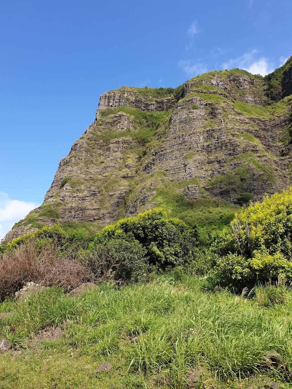 Ahupuaʻa ʻO Kahana State Park | 52-222 Kamehameha Hwy, Kaaawa, HI 96730, USA | Phone: (808) 237-7766