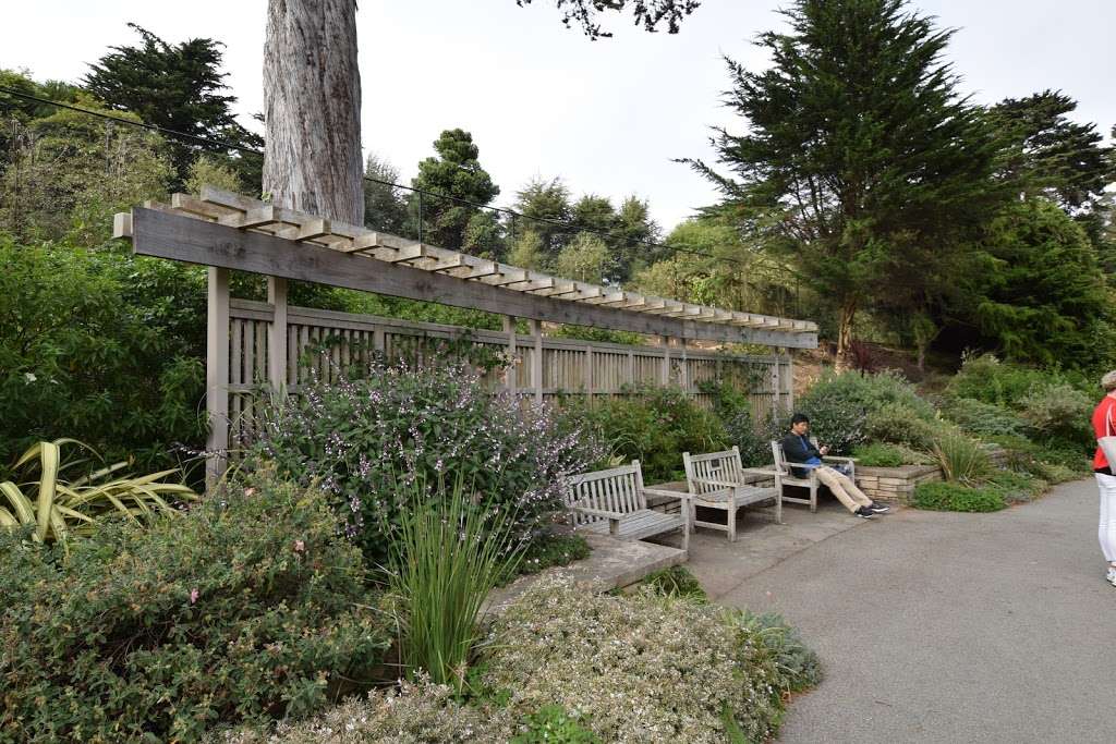 Zellerbach Garden of Perennials | Cloud Forest Path, San Francisco, CA 94122, USA | Phone: (415) 661-1316