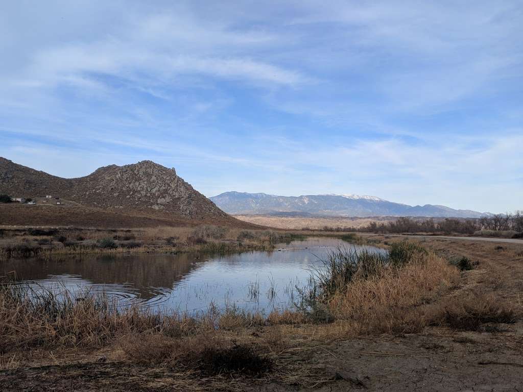 San Jacinto Wildlife Area | W Contour Rd, Nuevo, CA 92567, USA