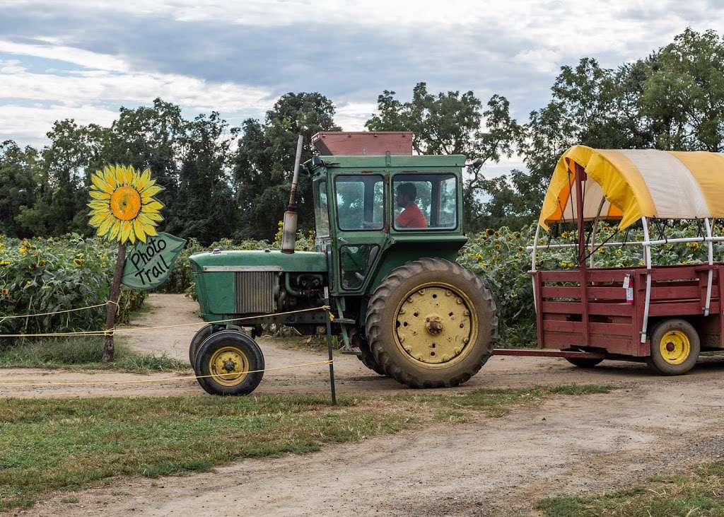 Johnsons Locust Hall Farm | 2691 Monmouth Rd, Jobstown, NJ 08041, USA | Phone: (609) 353-9000