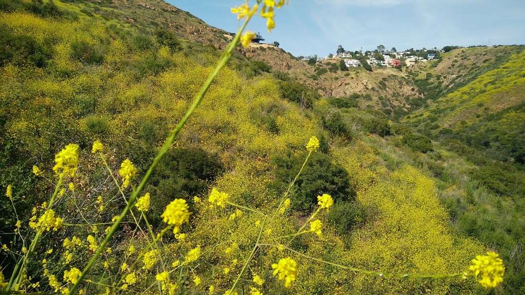 Solstice Canyon | 3455 Solstice Canyon Rd, Malibu, CA 90265, USA | Phone: (805) 370-2301