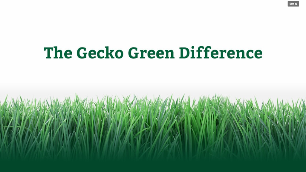 Gecko Green Sales | 6012 Campus Cir Dr W Ste 220, Irving, TX 75063, USA | Phone: (972) 895-4757