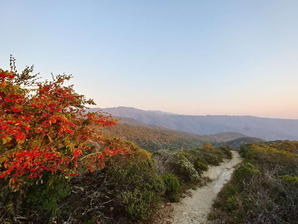 Farmers Daughter Trail | Moss Beach, CA 94038, USA | Phone: (415) 623-2100