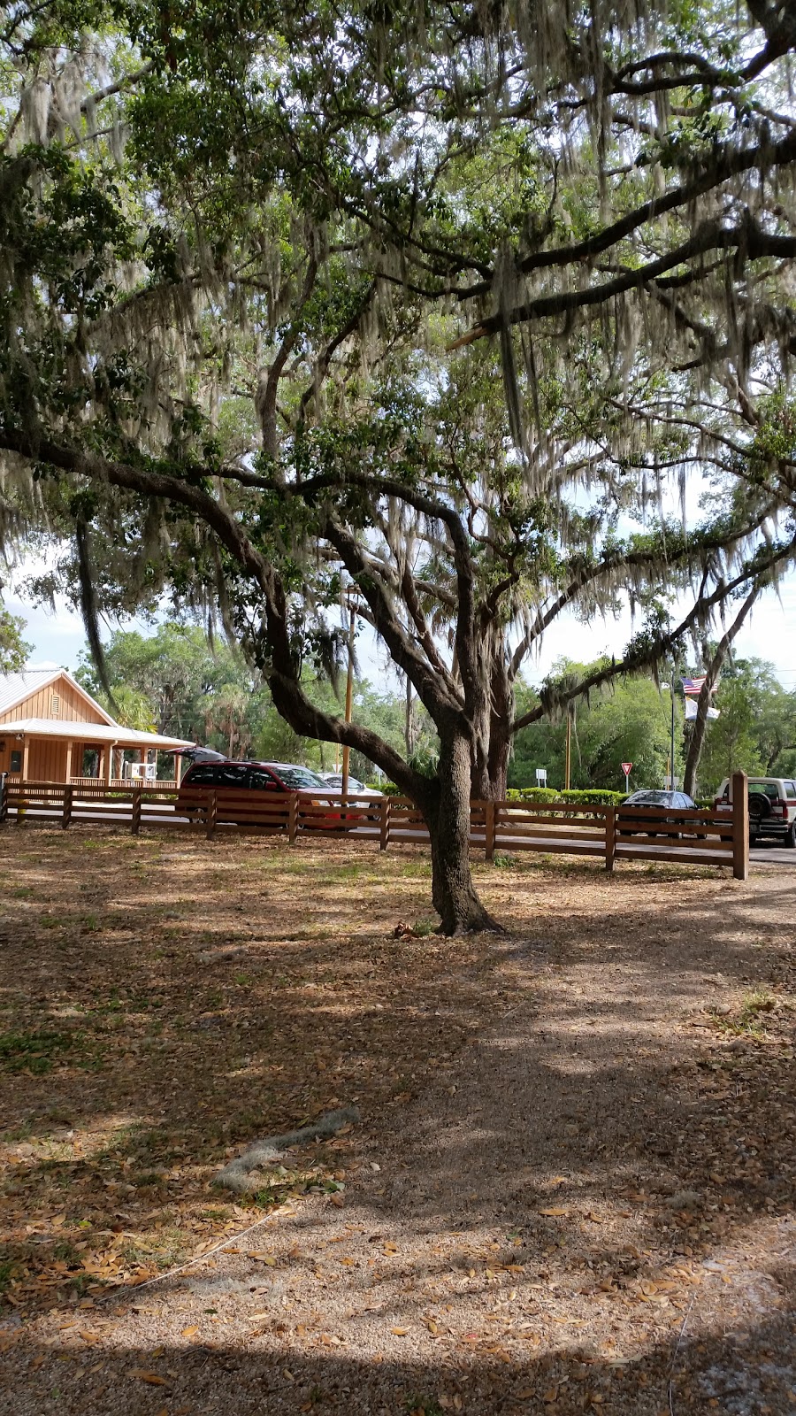 Lake Hiawatha Preserve | 450 12th St, Clermont, FL 34711, USA | Phone: (352) 394-3500