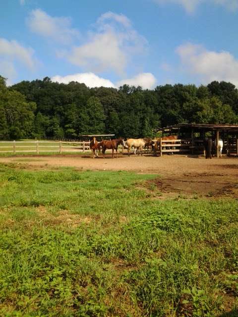 Anne Springs Close Greenway - Complex Trailhead | 971 Tom Hall St, Fort Mill, SC 29715, USA | Phone: (803) 547-4575