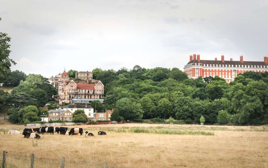 Petersham Meadows | Richmond TW10 6UY, UK