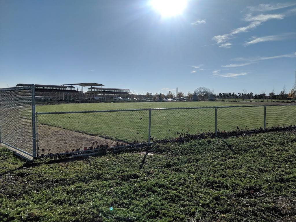 North Natomas Regional Park | 4989 Natomas Blvd, Sacramento, CA 95835, USA | Phone: (916) 705-5751