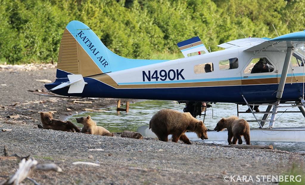 Katmai Air Service | 6400 S Airpark Pl Suite 1, Anchorage, AK 99502, USA | Phone: (907) 243-5448